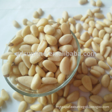 High quality Pine nuts kernels